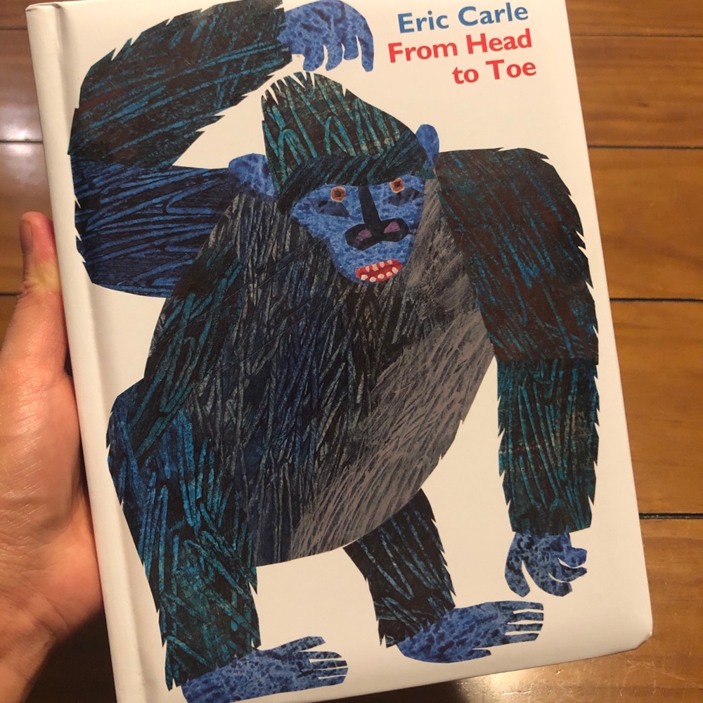Eric Carle Books - From Head to Toe
